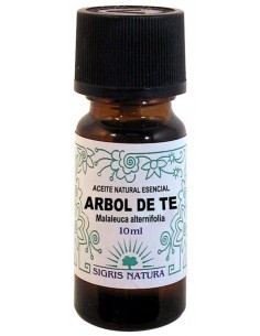 Bot.arbol de te aceite esenc