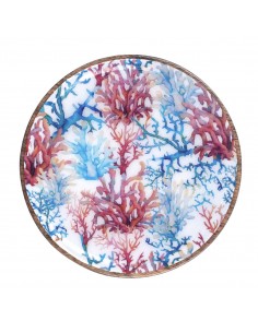 Plato coral 2
