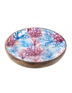 Plato coral