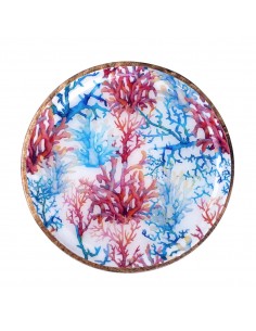 Plato coral 2