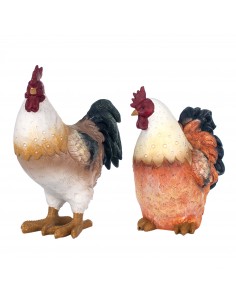 Gallina