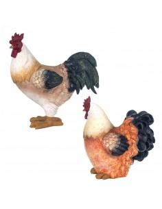 Gallina 2
