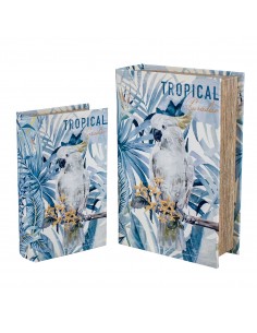 S/2 cajas libro