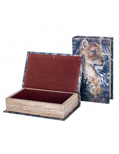 Caja libro 2 dif. 2