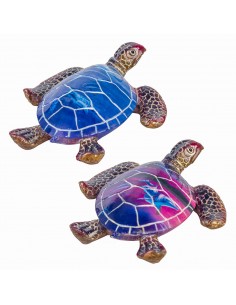 Tortuga 2 dif.