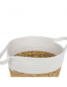 Cesta 2