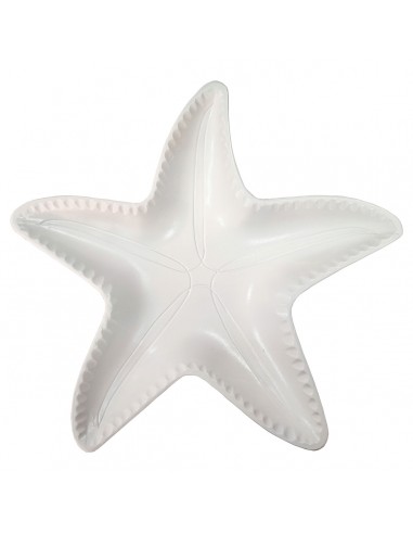 Plato estrella de mar