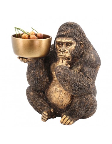Orangutan c/plato