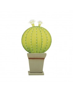 PROMOTION *cactus