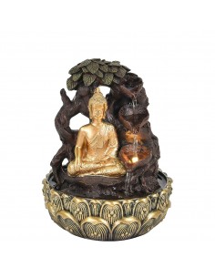 Fuente buda