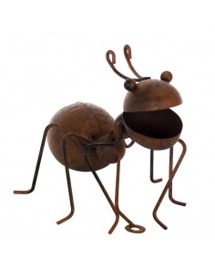 Hormiga