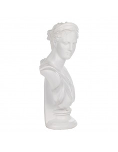 Busto 2