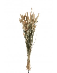 Fardo Pluma Cola De Liebre... 2