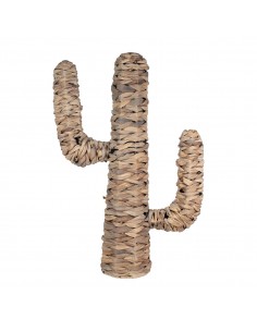 Cactus mediano hoja de banana