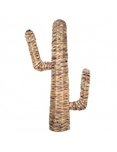 Cactus xl hoja de banana