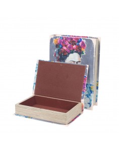 S/2 caja libro frida 2