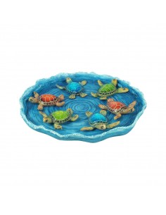 S/12 tortugas c/plato 3 dif.