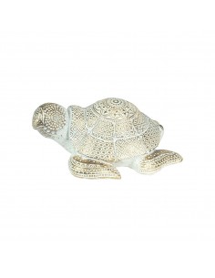 Tortuga