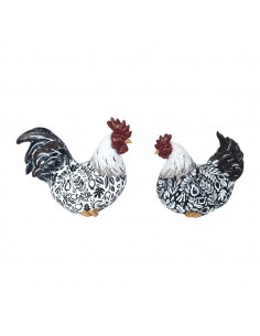 Gallo