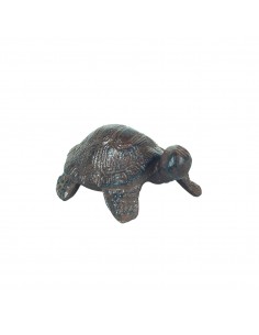Tortuga