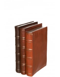 Libros Resina Marron Large 2