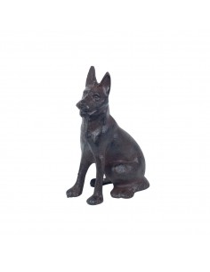 Perro