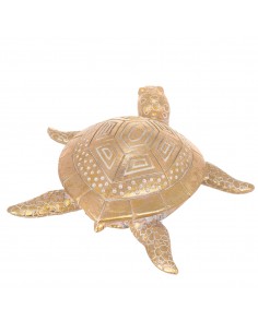 Tortuga 2