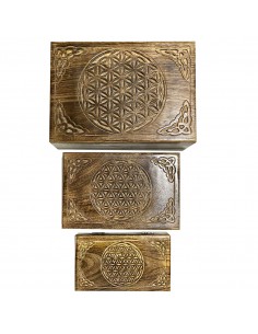 S/3 cajas rectangulares