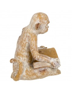 Figura 2 monos 2