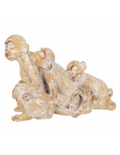 Figura 3 monos 2