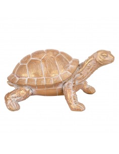 Tortuga 2